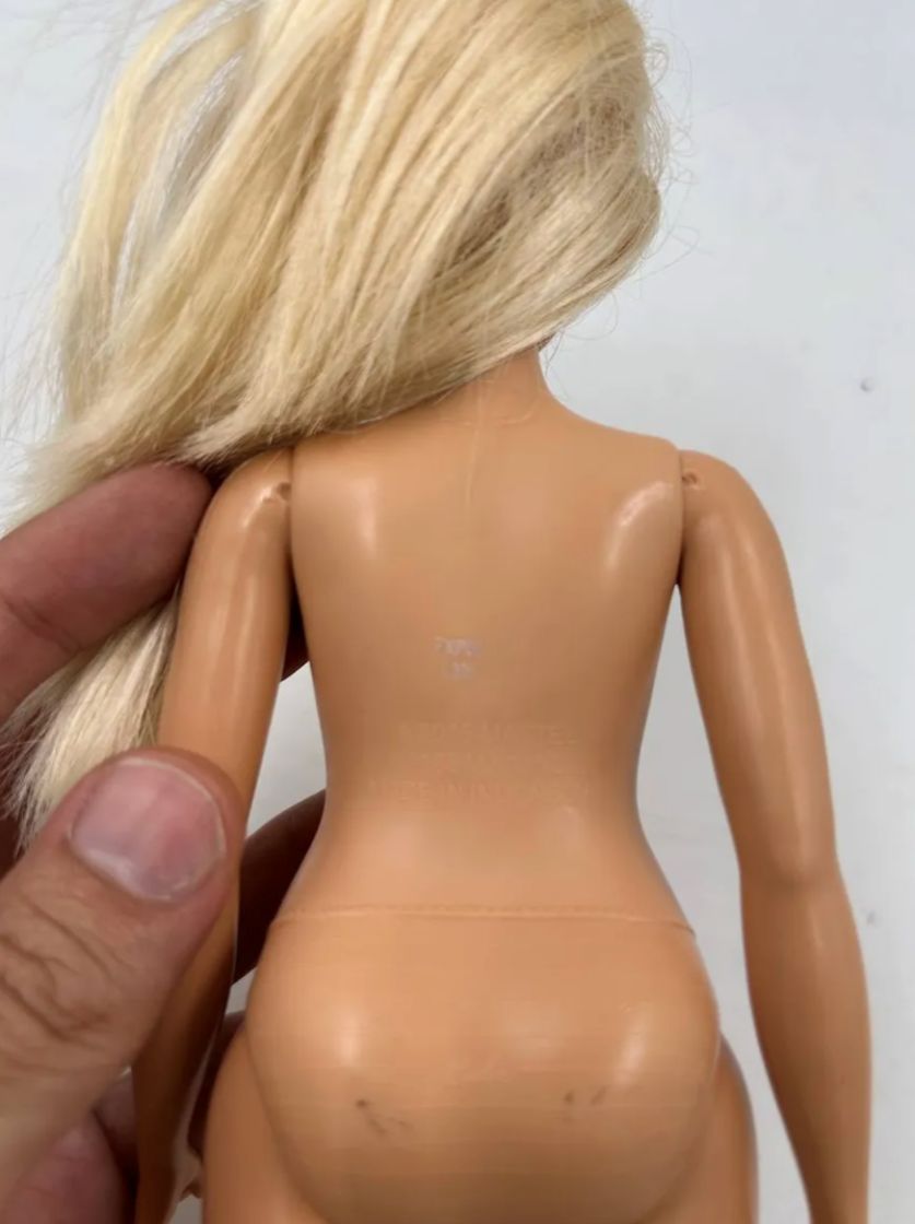 Barbie Fashionista 2015 Muñeca Cuerpos Diversos Mattel