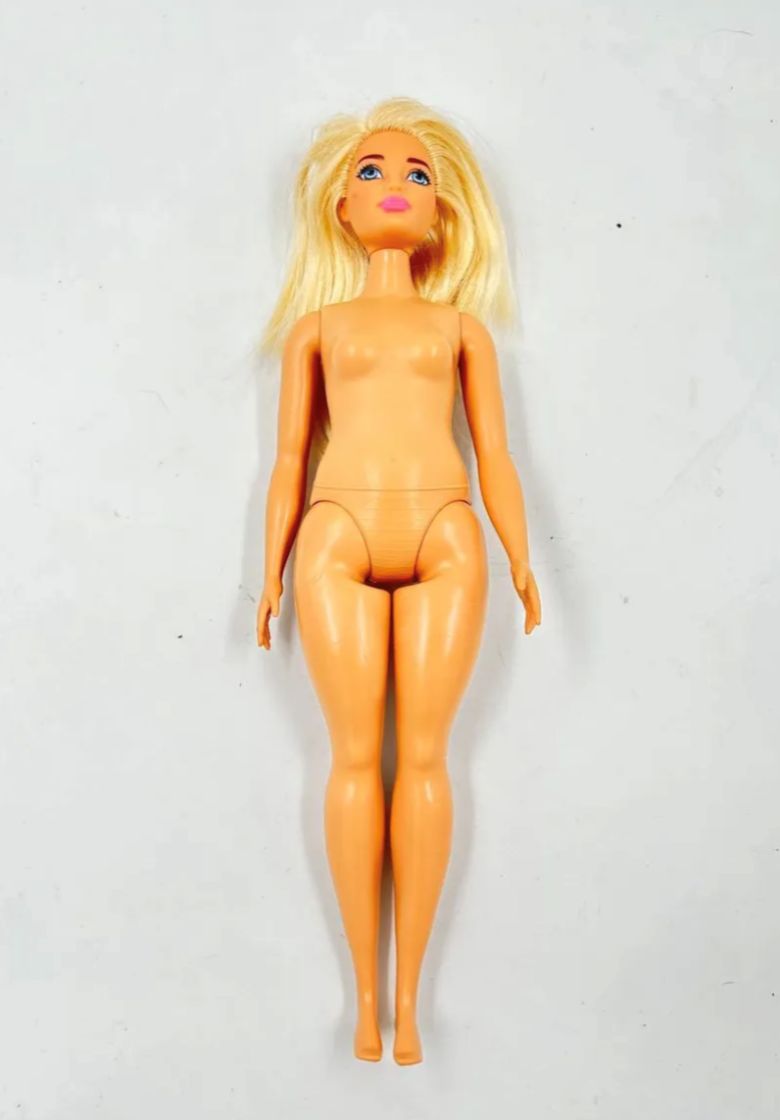 Barbie Fashionista 2015 Muñeca Cuerpos Diversos Mattel