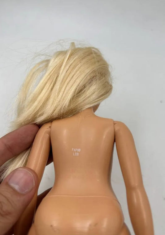 Barbie Fashionista 2015 Muñeca Cuerpos Diversos Mattel